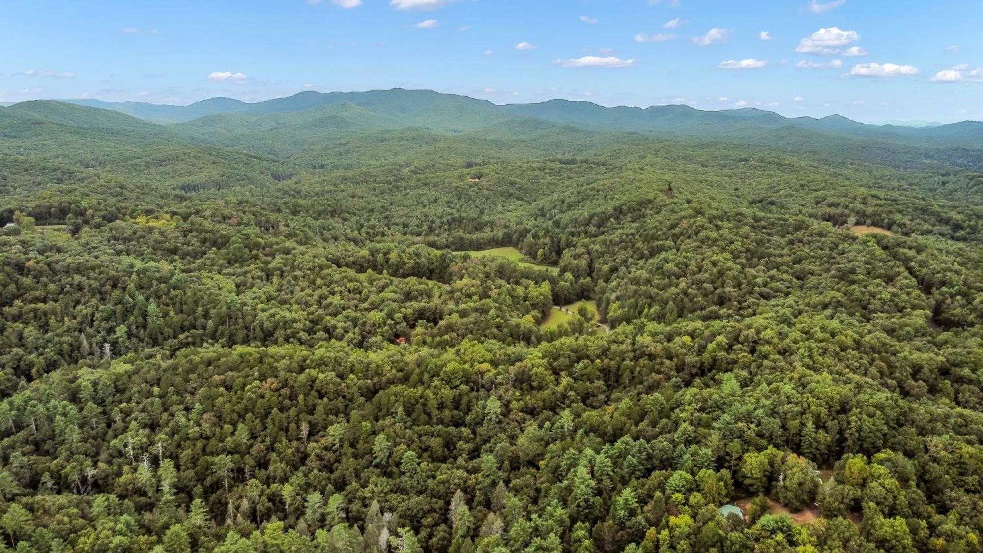 Amazing Creek View Cabin W/ Hot Tub, Firepit & Pool Table Ellijay Esterno foto